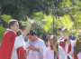 Com ramos nas mãos, fiéis celebram o começo da Semana Santa com missa